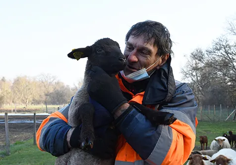 François De Carvalho