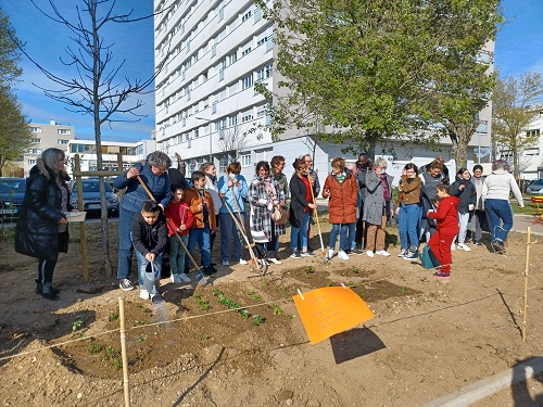 Jardin partagé Clos du Roy
