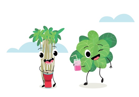 Le goût au cœur du Berry