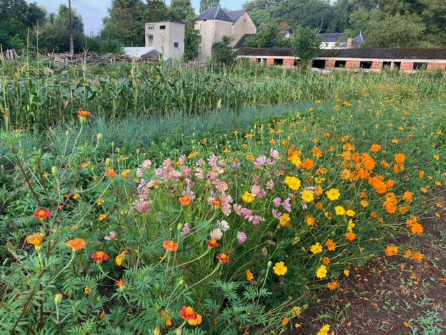 L'écopole alimentaire de la Chaponnière