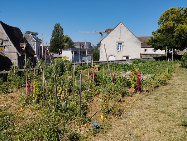 Jardin partagé association