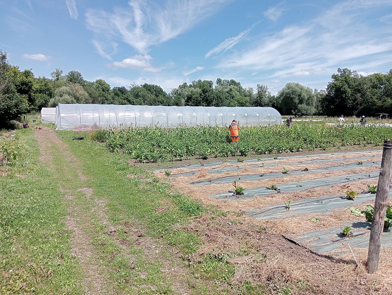 Maraîcher de la Chaponnière