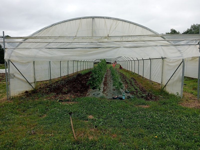 Maraîcher de la Chaponnière