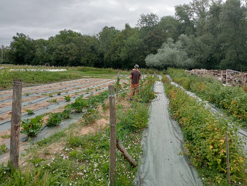 Maraîcher de la Chaponnière