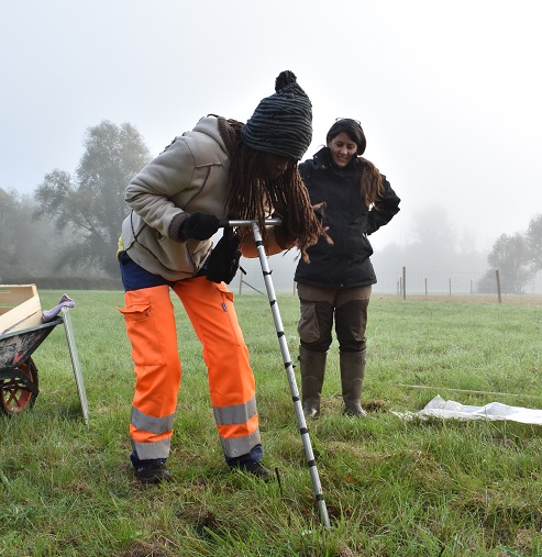 Travaille C2s Services